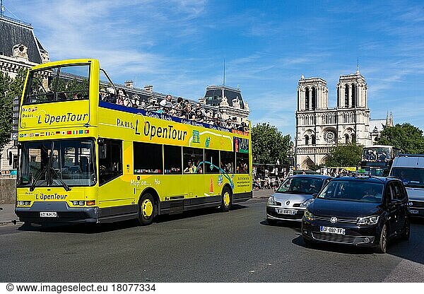Stadtrundfahrt Bus  Kathedrale Notre-Dame  Paris  Frankreich  Europa