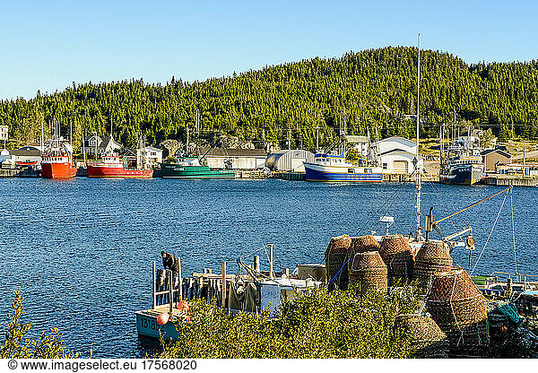 Stag Harbour  Fogo Island  Newfoundland  Canada  North America