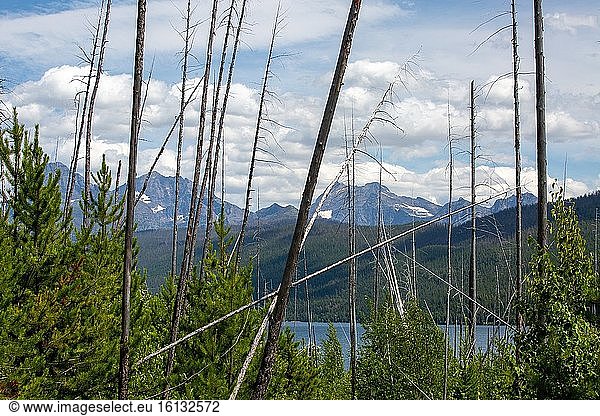 Stark reminder of a massive wild fire over a decade ago is evident along the Rocky Point Trail in West Glacier. Glacier National Park in Northwest Montana draws visitors from around the world.
