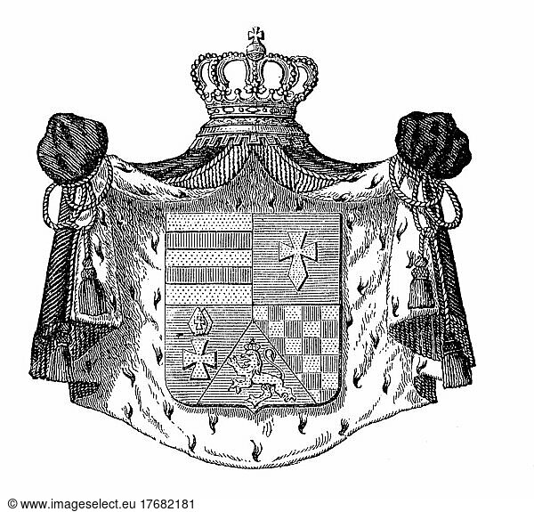 State coat of arms  coat of arms from 1890  Oldenburg  Germany  digitally restored reproduction of an original template from the 19th century  exact original date not known  Europe