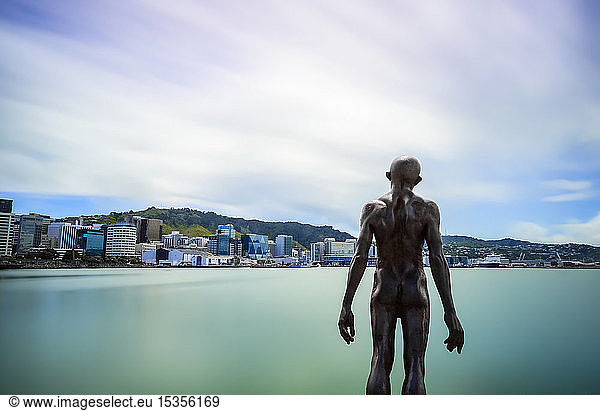 Statue eines Mannes ohne Kleidung im Hafen der Stadt Wellington; Wellington  Nordinsel  Neuseeland