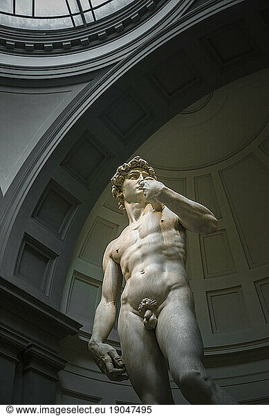 Statue of David by Michelangelo  Accademia Gallery  Florence  Tuscany  Italy