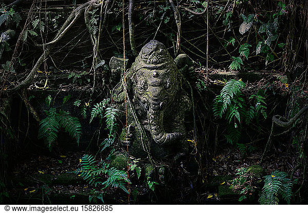 Statue of ganesh covered in moss and ferns in bali