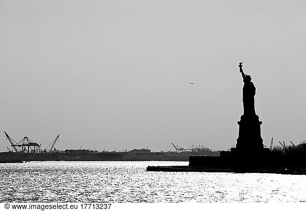 Statue Of Liberty In Liberty Island  New York  Usa