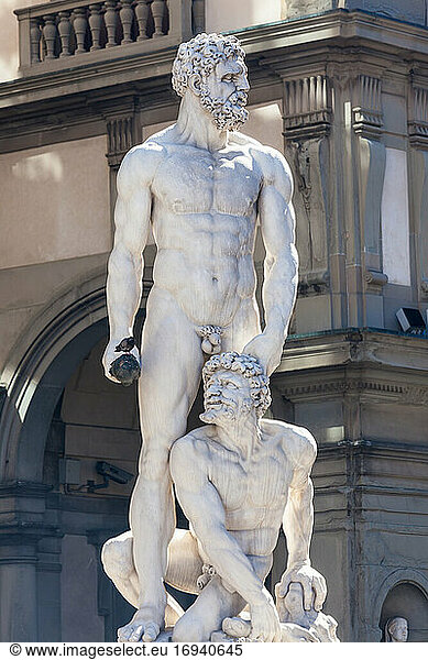 Statue of Neptune  Piazza Della Signora  Florence  Italy