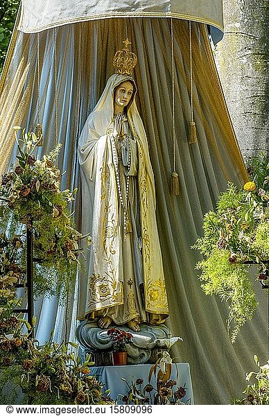 Statue of the Virgin Mary with golden crown of the Virgin Mary  Virgin Mary grotto in the forest  pilgrimage place Maria Vesperbild  Ziemetshausen  Günzburg  Swabia  Bavaria  Germany  Europe