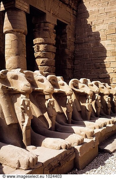 Statuen von Widdern Ruinen des Tempels. Karnak. Ägypten