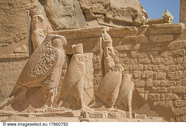 Statues  Horus  falcons  rock temple Abu Simbel  Egypt  Africa
