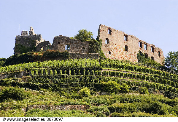 Staufen im Breisgau Baden-Württemberg Deutschland Ruine der nach 1632 zerstörten Burg