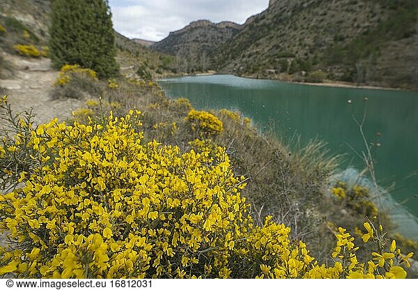 Stausee Las Balagueras Rubielos de Mora im Gudar-Gebirge Teruel Aragonien Spanien.