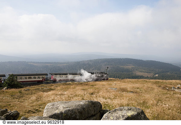 Steam train passing through Brocken
