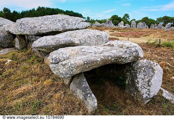 stehend Frankreich Stein bündig Bretagne Morbihan