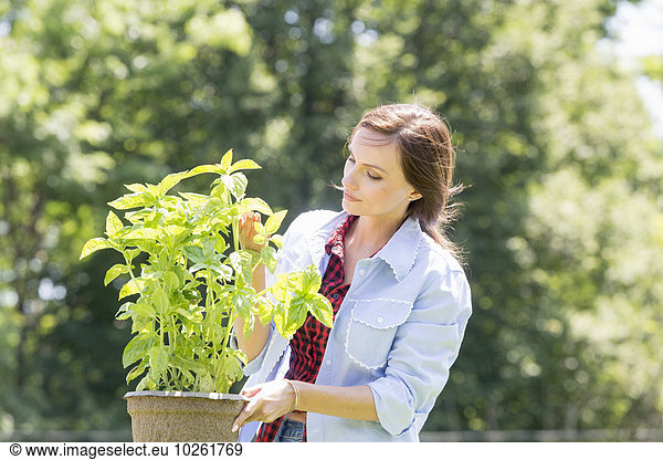 stehend junge Frau junge Frauen Pflanze Garten Fürsorglichkeit Blumentopf