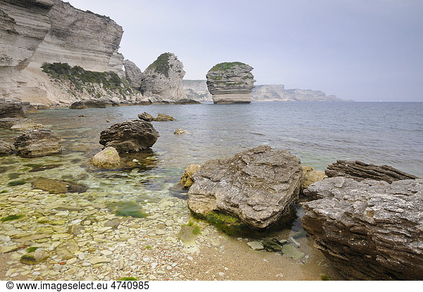 Steilküste bei Bonifacio  Korsika  Frankreich  Europa