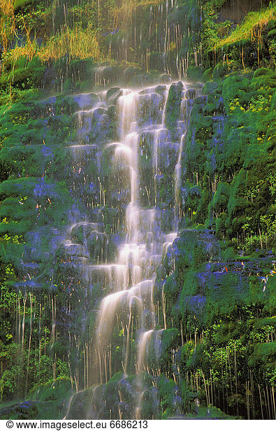 Steilküste  grün  Zeit  Wasserfall  Verspätung