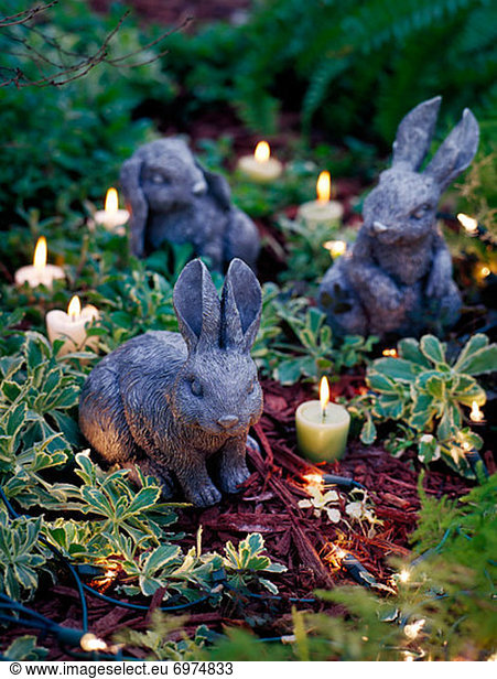 Stein  Kerze  Kaninchen