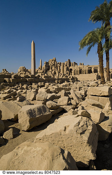 Stein  sehen  Ruine  Sortiment  groß  großes  großer  große  großen  Zimmer  Ägypten  Karnak  Luxor