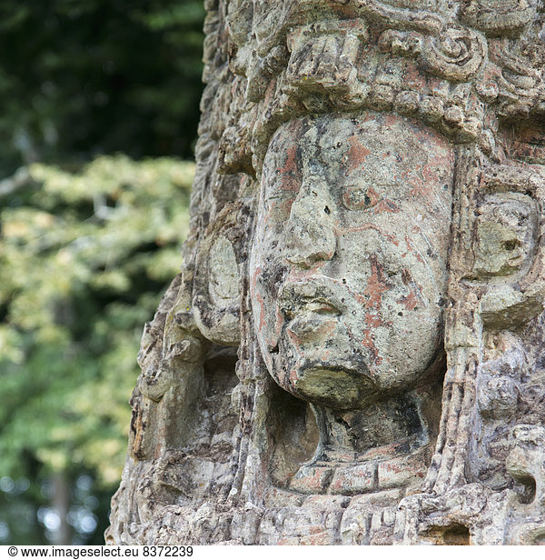 Stein  Zivilisation  Ruine  schnitzen  Honduras  Maya