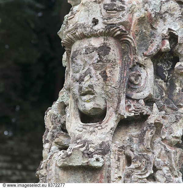 Stein  Zivilisation  Ruine  schnitzen  Honduras  Maya