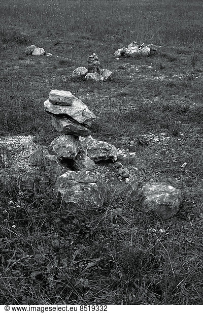 Steinfiguren auf der Wiese
