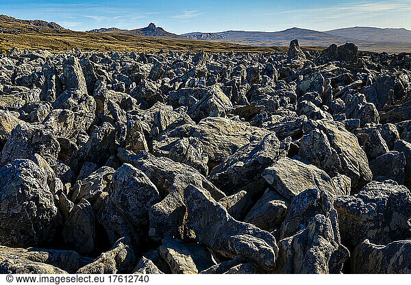 Steinläufe  Geologie  West Point Island  Falklandinseln