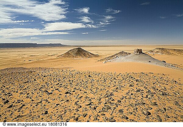 Steinwüste  Sahara  Libyen  Afrika