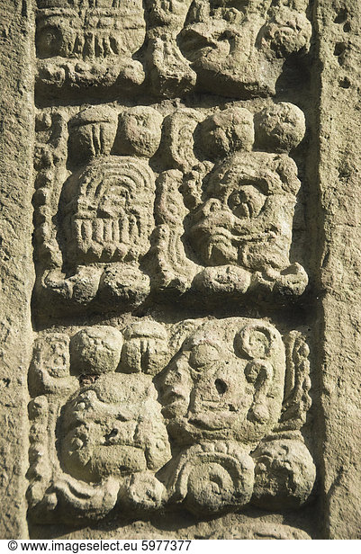 Stela eine Datierung von 731 AD  Copan archäologischen Park  Copan  UNESCO World Heritage Site  Honduras  Mittelamerika