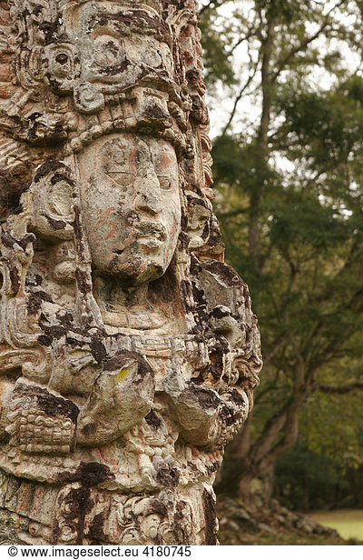 Stela  Maya-König  Copan Ruinas  Copan  Honduras