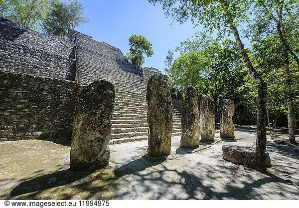 Stelae and structure at Mayan city of Calakmul  Calakmul Biosphere Reserve  Campeche  Mexico.
