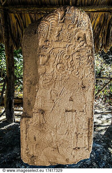 Stele an der Nordakropolis  Maya-Ruinenstadt  Tikal  Guatemala  Mittelamerika