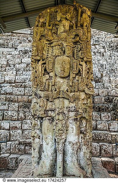 Stele N  am Tempel 11  Mayastätte  Copan  Honduras  Mittelamerika