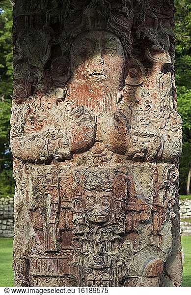Stelen C  der Große Platz  Archäologischer Park Copán  Honduras  Mittelamerika
