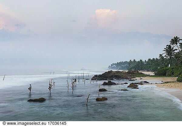 Stelzenfischer  Stelzenfischer am Strand von Midigama  nahe Weligama  Südküste  Sri Lanka  Asien