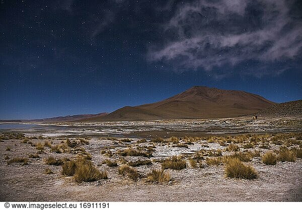 Sterne über den nächtlichen Salinen von Chalviri (auch bekannt als Salar de Chalviri)  Altiplano von Bolivien im Eduardo Avaroa National Reserve of Andean Fauna