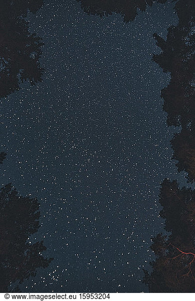 Sternenhimmel über den Bäumen in Sodermanland  Nykoping  Schweden
