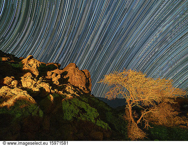 Sternenpfade bei Nacht im Wadi Mistall  Sultanat Oman  Naher Osten
