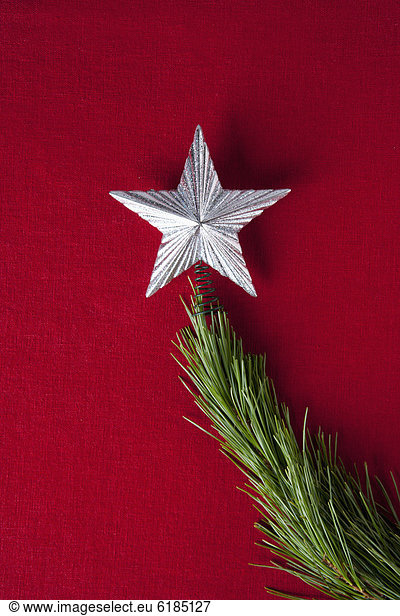 sternförmig  Baum  Weihnachten  Ast  Silber