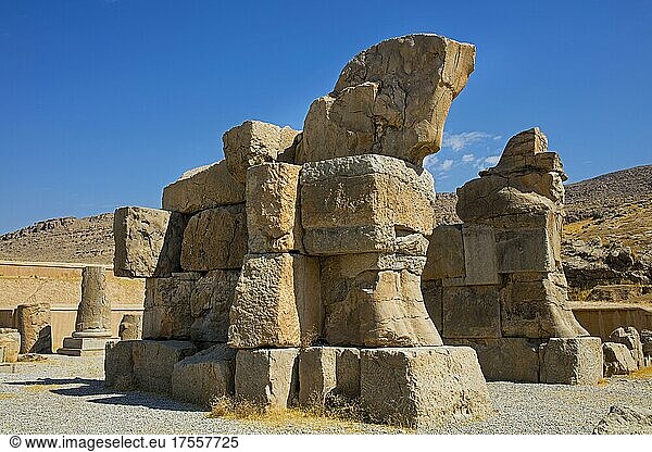 Stierkapitell Persepolis Persepolis Iran