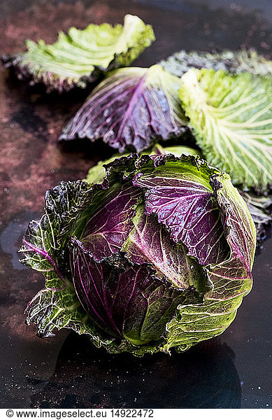 Still life  a fresh round red and green savoy cabbage