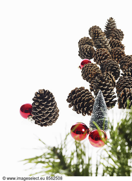 Still life. Green leaf foliage and decorations. A pine tree branch with green needles. Christmas decorations. Pine cones and small red shiny ornaments.