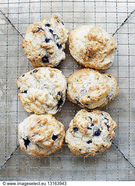 Still life of blueberry scones on cooling rack