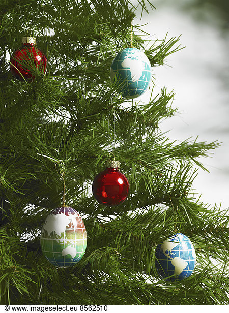 Stilleben. Grünes Blattwerk und Dekorationen. Ein Kiefernzweig mit grünen Nadeln. Weihnachtsschmuck. Eine kleine Gruppe von rotem und blauem Baumschmuck. Längliche Formen mit Kontinente auf blauem Hintergrund.