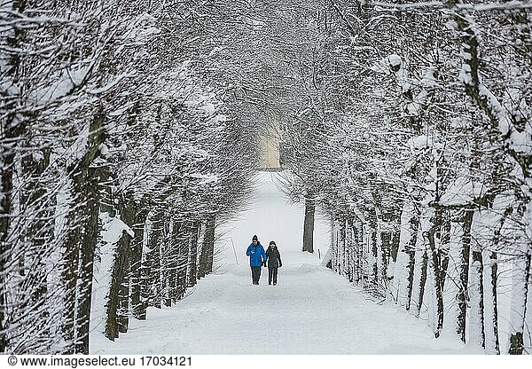 Stockholm  Schweden Ein Paar  das auf dem Gelände des königlichen Schlosses Drottningholm im Schnee spazieren geht.