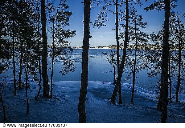 Stockholm  Schweden Eine Winterlandschaft auf der Insel Faringso im Malarensee.