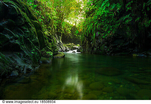 stone alley waterfall in tropical forest of indonesia