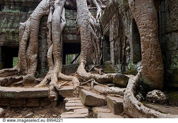 Stone carved bas relief of an Apsara celestial maiden at Banteay Kdei built by Jayavarman VII in the Bayon style part of Angkor Wat _ Siem Reap Cambodia