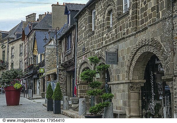 Stone houses and half-timbered houses in the old town of Dol-de-Bretagne  Ille-et-Vilaine department  Bretagne Breizh region  France  Europe