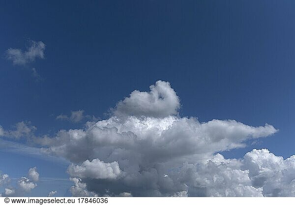 Storm cloud (Cumulonimbus)  Bavaria  Germany  Europe
