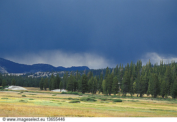 Storm clouds over Tuolumne Meadows  Yosemite National Park  California.