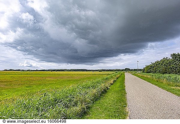 Straße durch typisch niederländische Landschaft auf der friesischen Insel Terschelling  Niederlande  Europa.